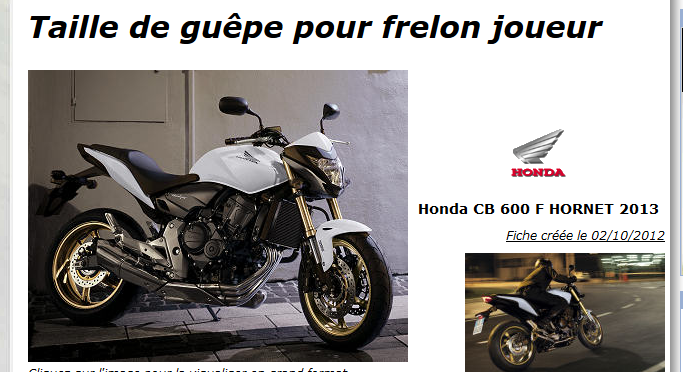 HORNET 600.png