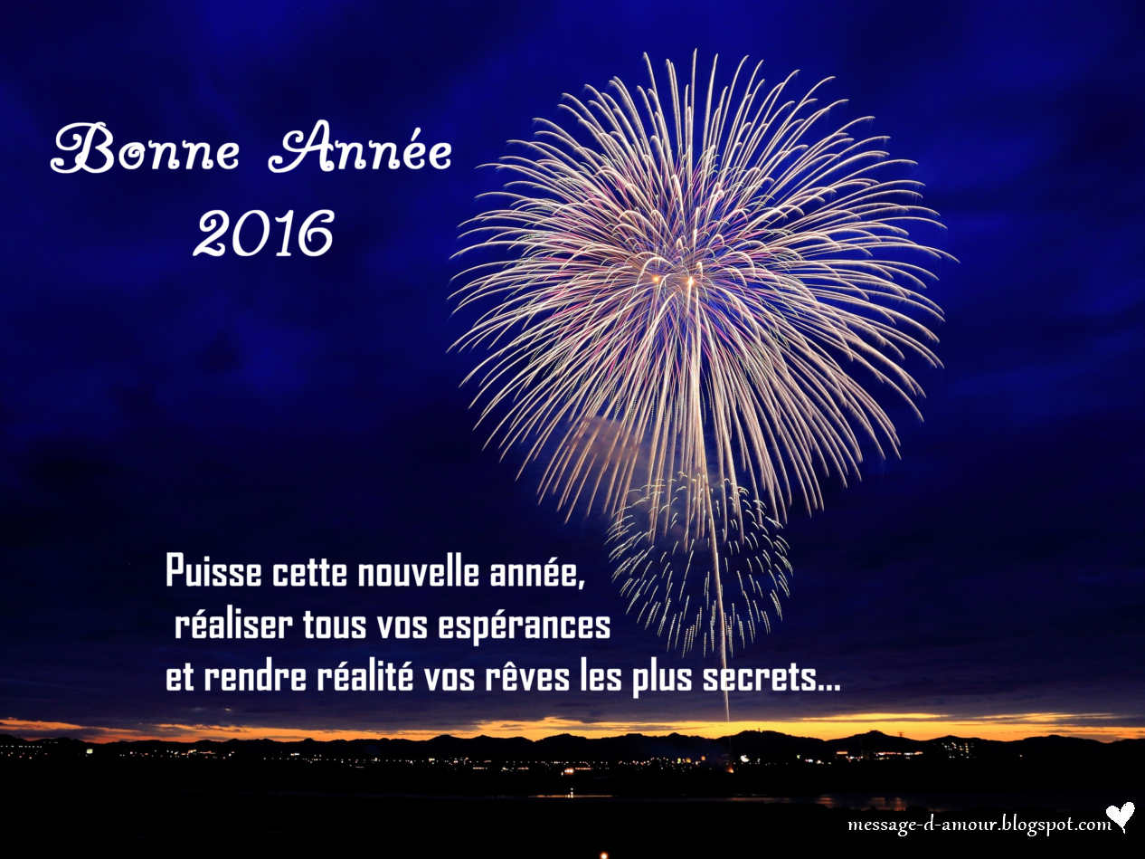 bonne annee 2016.jpg