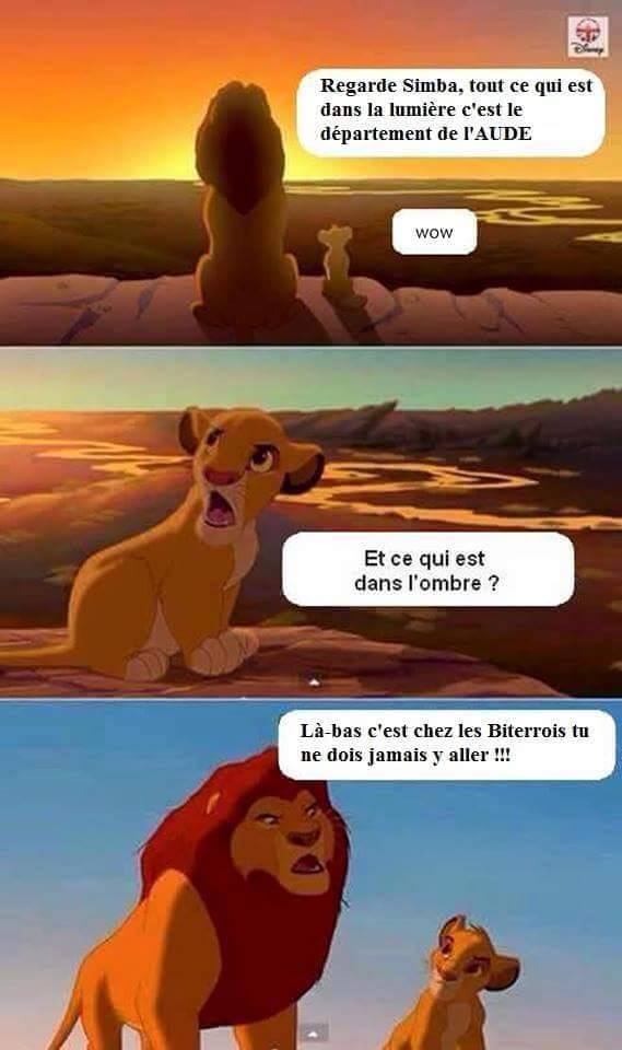 roi lion.jpg